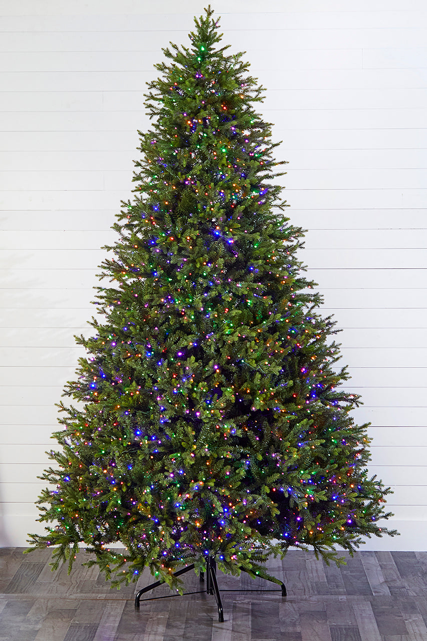 10' Southern Fir with 3000 3mm Lights