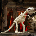 15 1/2" Light-Up Tyrannosaurus Rex Skeleton Animated Prop Halloween Decoration