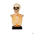 16" Skeleton Bust on Stand Plastic Halloween Tabletop Decoration
