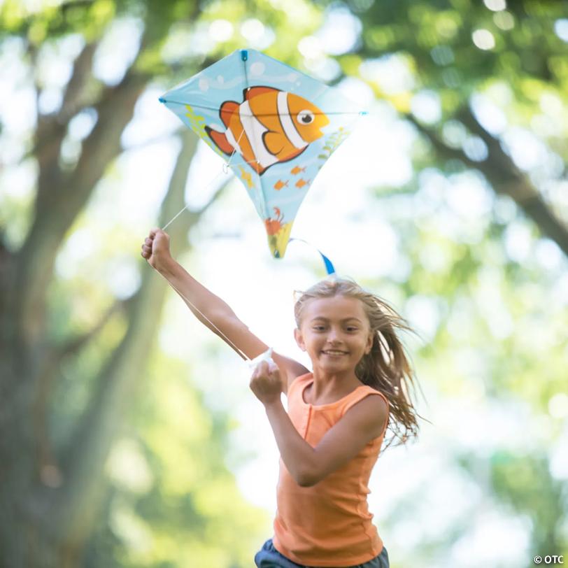 21" x 22" Sea Creatures Plastic Kites with Vinyl Tail - 12 Pc.