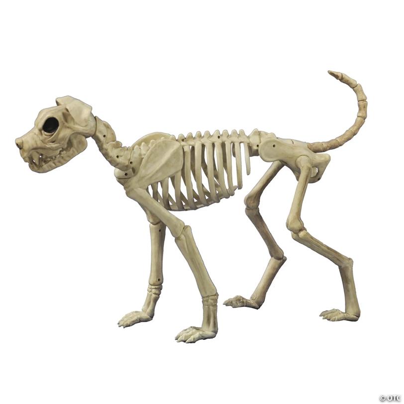 3 Ft. x 21" Buster Bonez Dog Skeleton Platic Halloween Decoration