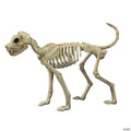 3 Ft. x 21" Buster Bonez Dog Skeleton Platic Halloween Decoration