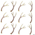 4” Deer Antler Resin Table Tosser Decorations - 12 Pc.