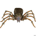 4 Ft. 5" Deluxe Light-Up Furry Wolf Spider Halloween Decoration