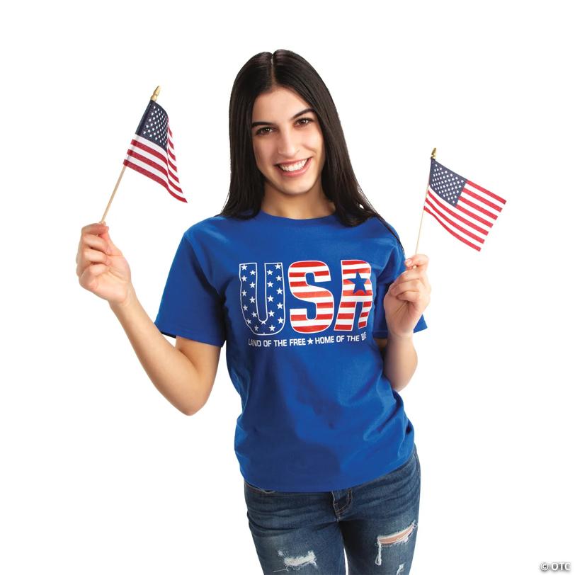 6" x 4" Small Cloth American Flags on Wooden Sticks - 12 Pc.