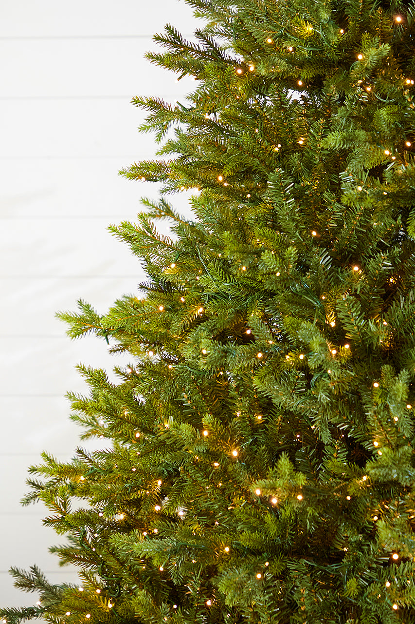 10' Southern Fir with 3000 3mm Lights
