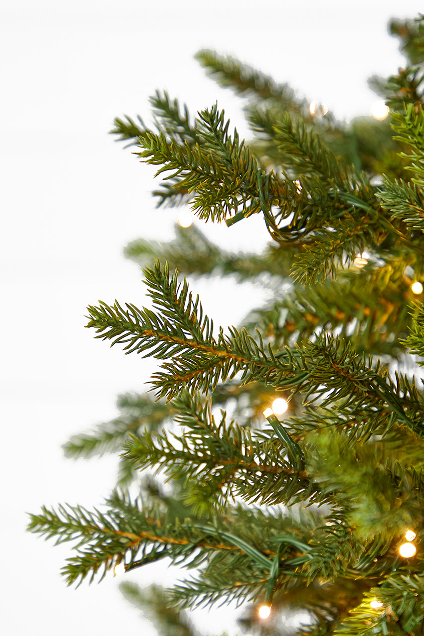 9' Southern Fir with 2400 3mm Lights