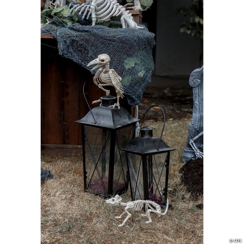 9" x 2" Mini Skeleton Rat Prop
