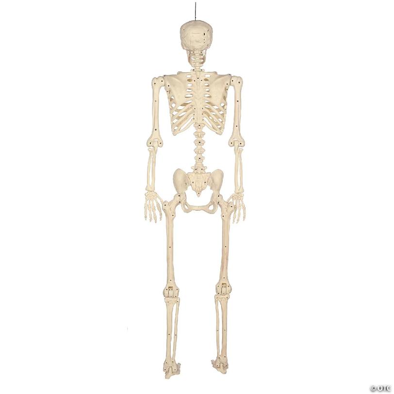 BOO BOX 5' Animated Full Size Halloween Skeleton Decoration, Lightup Eyes and Speaker