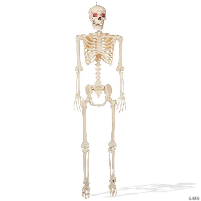 BOO BOX 5' Animated Full Size Halloween Skeleton Decoration, Lightup Eyes and Speaker
