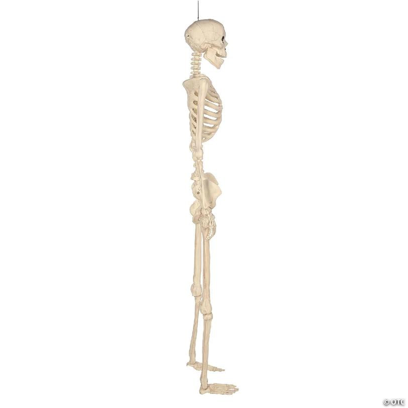 BOO BOX 5' Animated Full Size Halloween Skeleton Decoration, Lightup Eyes and Speaker