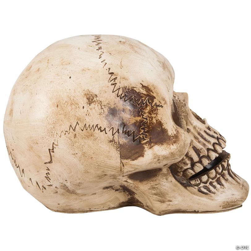Blazing Scenes – 10-inch Skull with Red Spider Web Projection