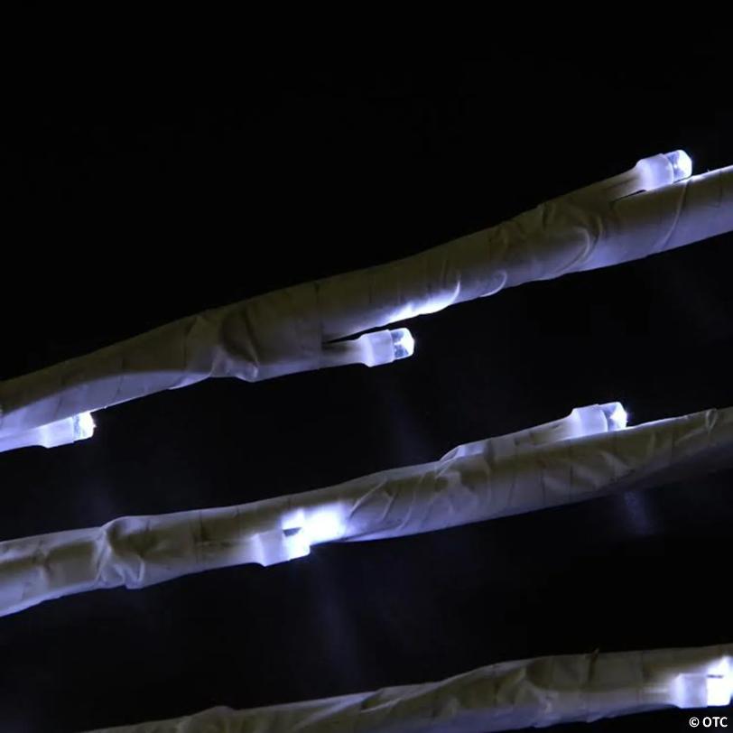 Branch Spray Christmas Pathway Marker - Pure White LED Lights - 8' White Wire