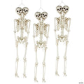 Bulk Two-Headed Life-Size Posable Skeleton Halloween Decorations - 3 Pc.