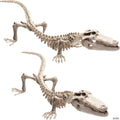 CROCODILE HALLOWEEN SKELETON 2 PACK 20