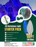 100' Outdoor Christmas Lighting Kit - Cool White/Blue
