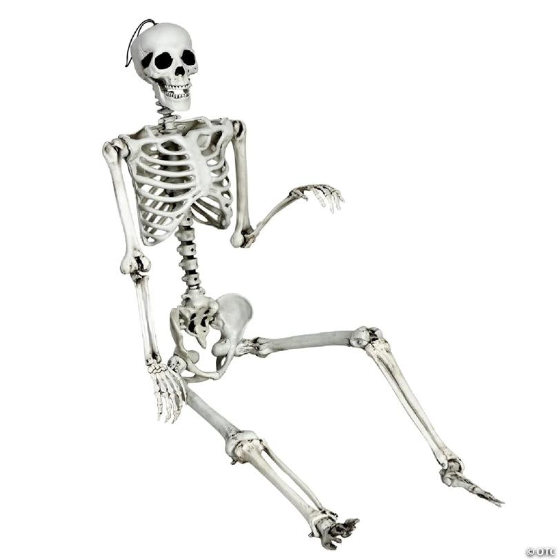 Costway 5.4ft Halloween Skeleton Life Size Realistic Full Body Hanging w/ Movable Joints