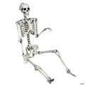 Costway 5.4ft Halloween Skeleton Life Size Realistic Full Body Hanging w/ Movable Joints