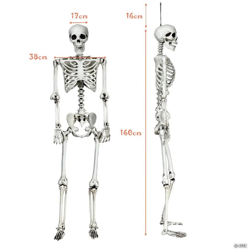 Costway 5.4ft Halloween Skeleton Life Size Realistic Full Body Hanging w/ Movable Joints
