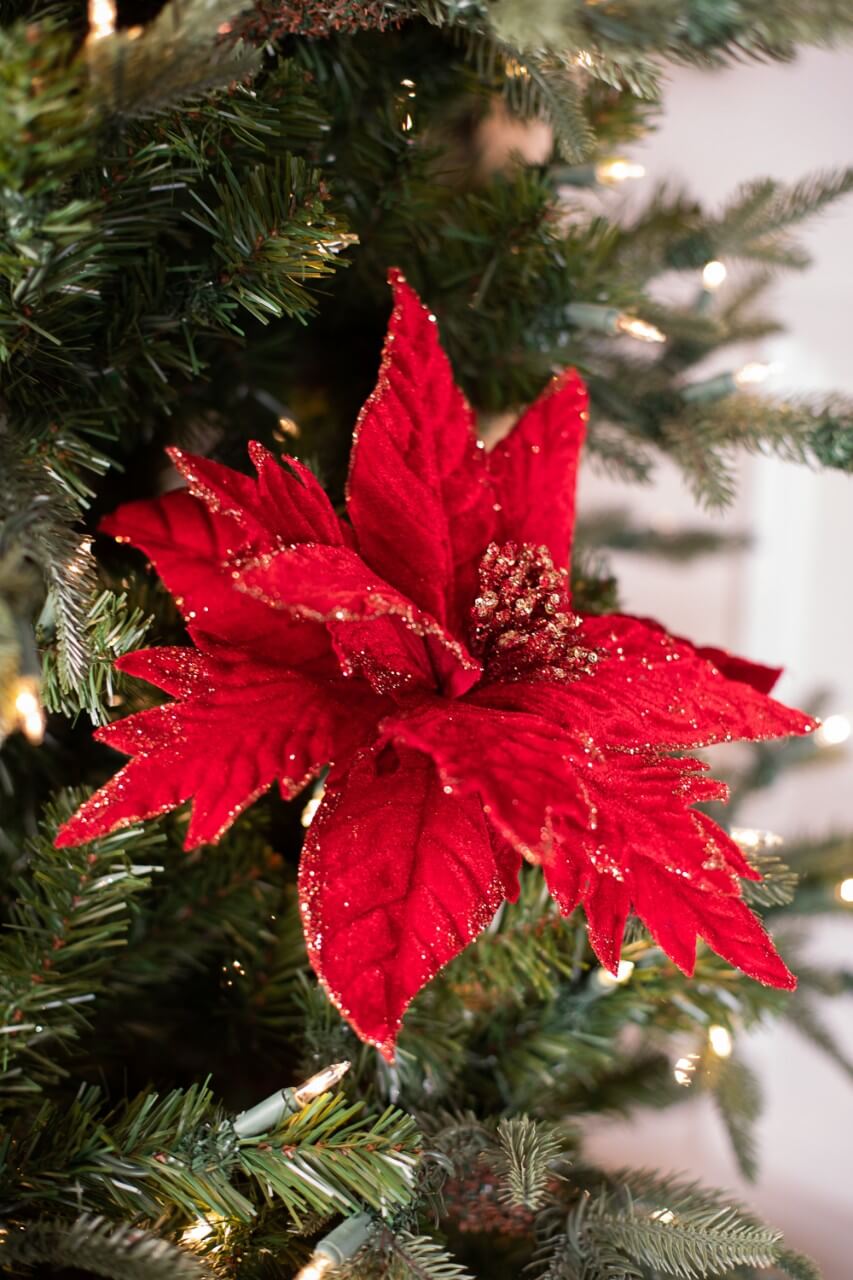 20” x 12" Red Velvet Gold Mix Glitter Poinsettia Stem