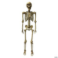 Deluxe Poseable Skeleton Halloween Decoration