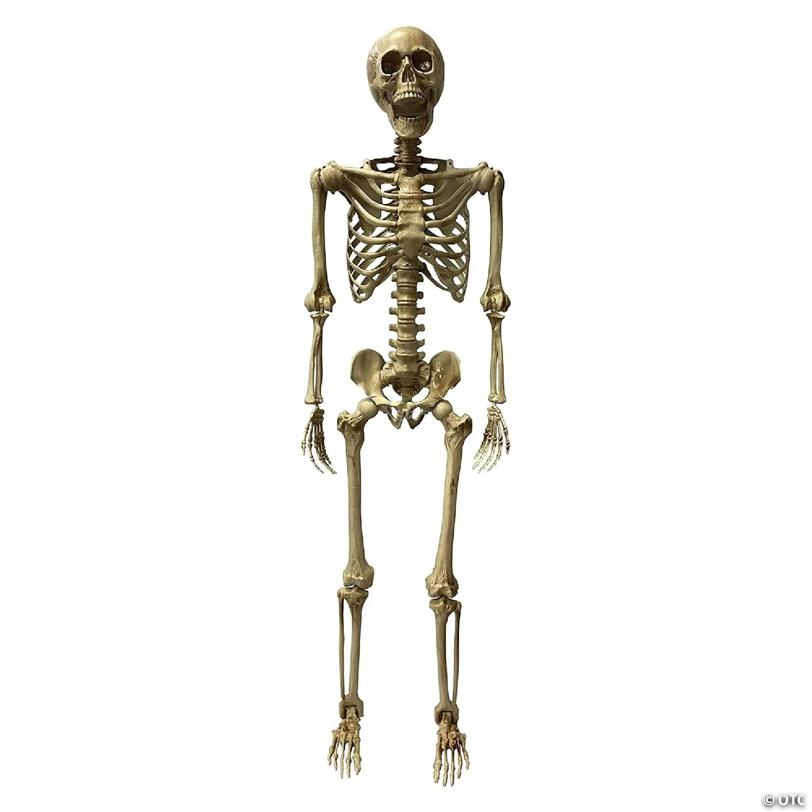 Deluxe Poseable Skeleton Halloween Decoration