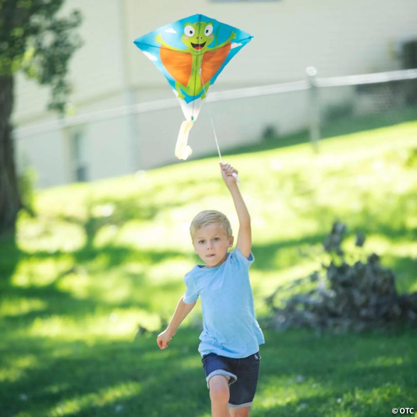 Flying Animal Kites with Tail - 12 Pc.