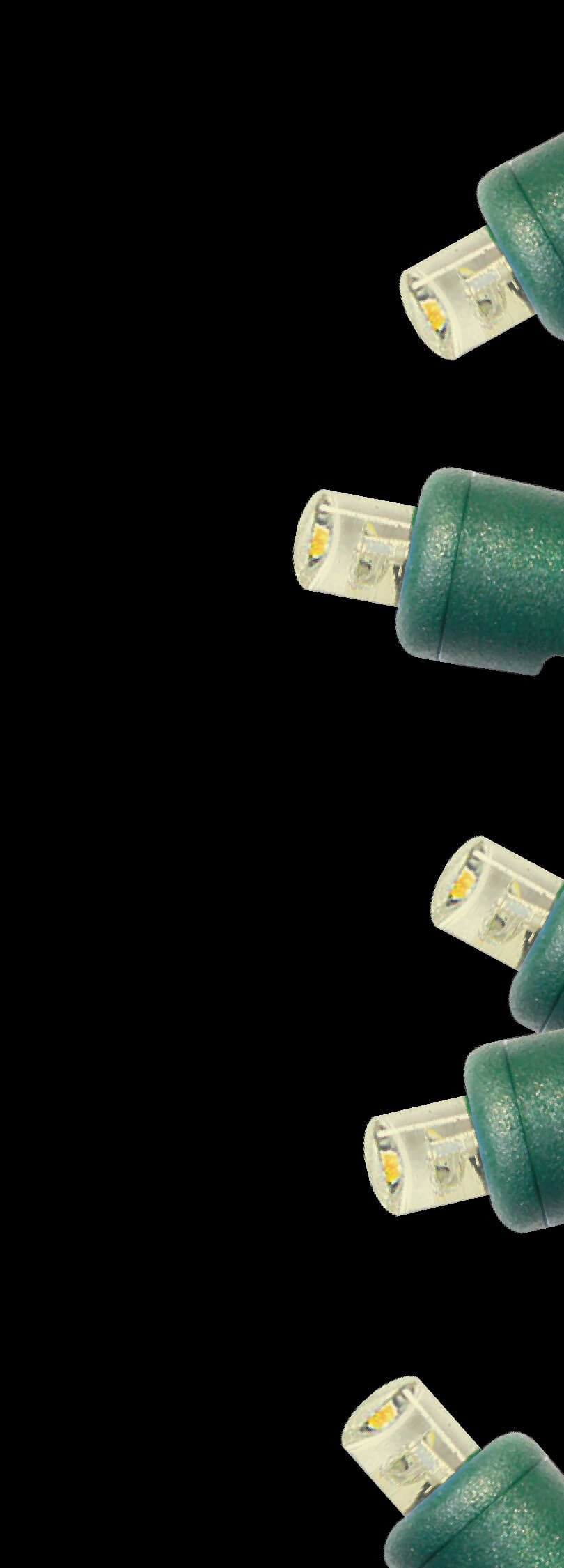 5mm Warm White 100 LED Light Set