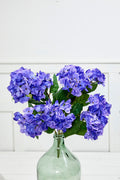 24" Purple Hydrangea Bush
