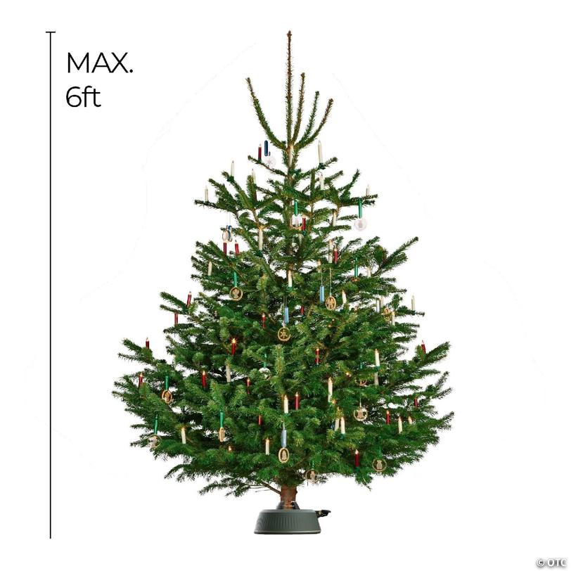 Krinner X-6 Christmas Tree Stand, Green