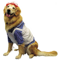 Raggedy Ann Dog Costume