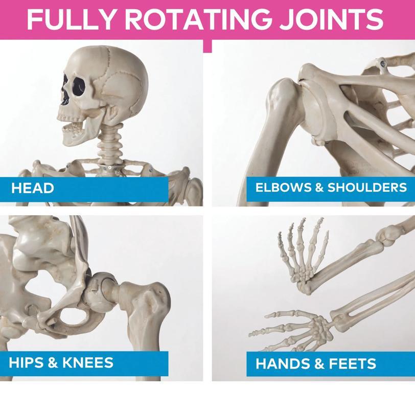 5 Ft. Life-Size Posable Skeleton Halloween Decoration