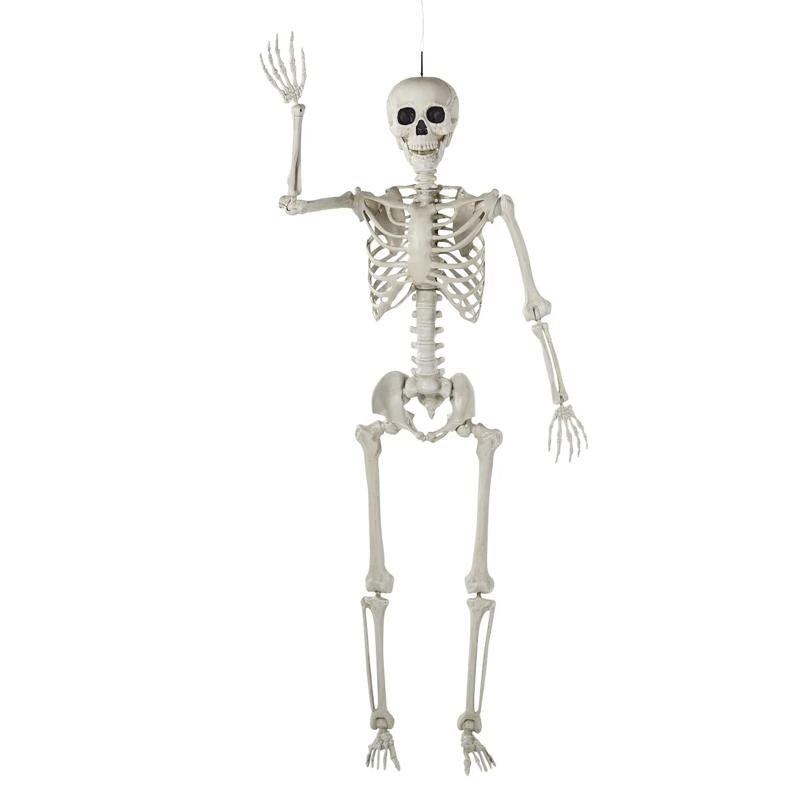 5 Ft. Life-Size Posable Skeleton Halloween Decoration