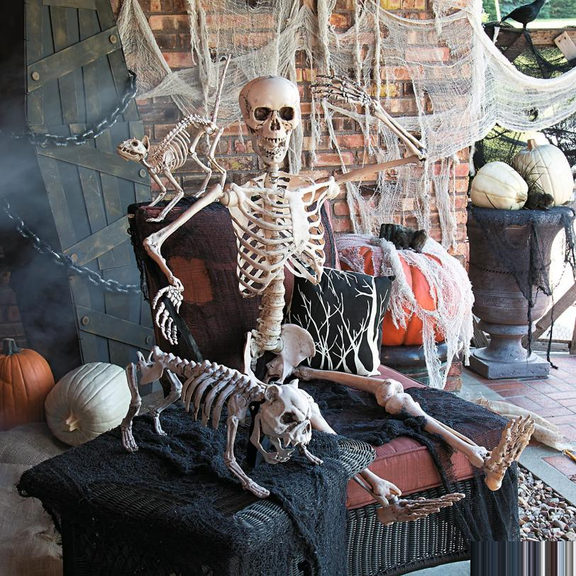 5 Ft. Life-Size Posable Skeleton Halloween Decoration