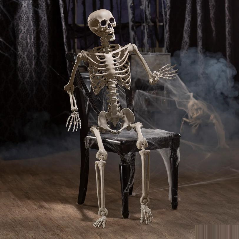 5 Ft. Life-Size Posable Skeleton Halloween Decoration