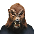 Howl O Ween Mask