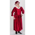 Mrs. Christmas Costume
