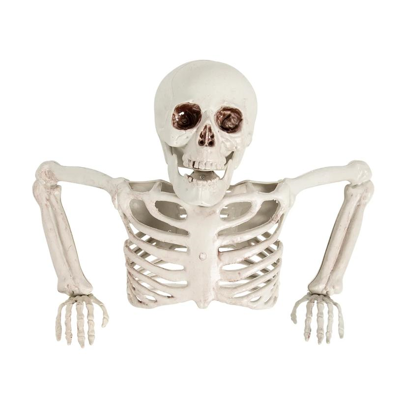 Tabletop White Plastic Half Skeleton Halloween Decoration, 15 3/4" x 10 3/4"