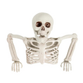 Tabletop White Plastic Half Skeleton Halloween Decoration, 15 3/4" x 10 3/4"