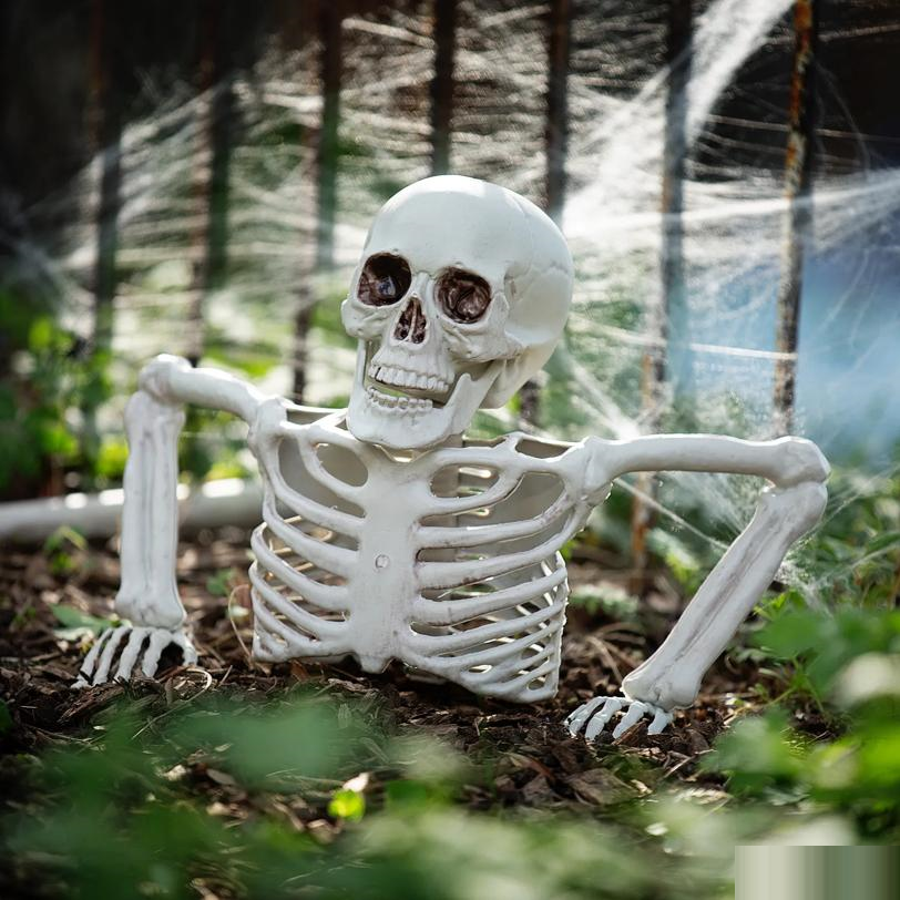 Tabletop White Plastic Half Skeleton Halloween Decoration, 15 3/4" x 10 3/4"