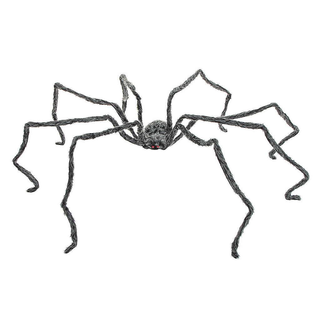 FURRY SPIDER