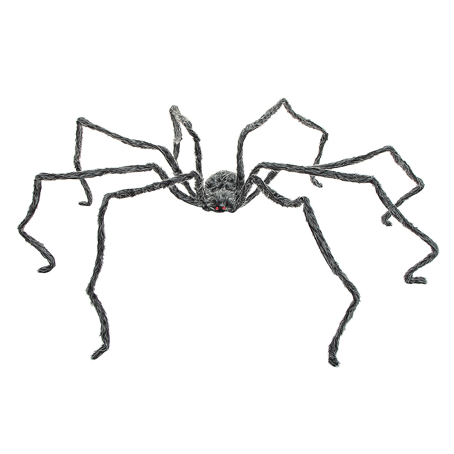 FURRY SPIDER