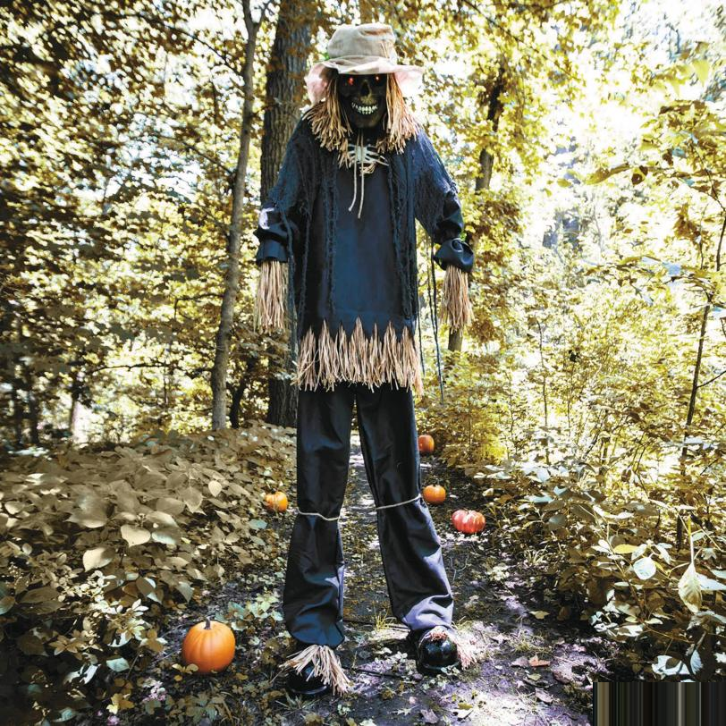 7 Ft. 6" Light-Up Lifting Skeleton Scarecrow Halloween Decoration