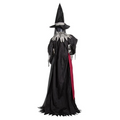 6 Ft. 2" Animated Light-Up Standing Talking Witch with Green Face Halloween Decoration