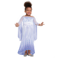 Kids Frozen Elsa Snow Queen Adaptive Costume