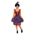 Mary Classic Costume