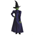 Toddler Deluxe Wicked Elphaba Purple Dress Costume