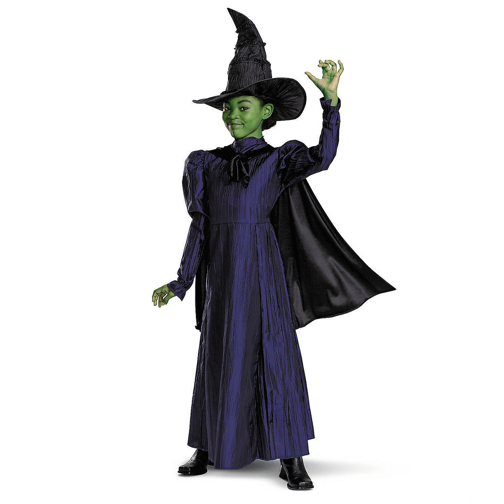 Toddler Deluxe Wicked Elphaba Purple Dress Costume