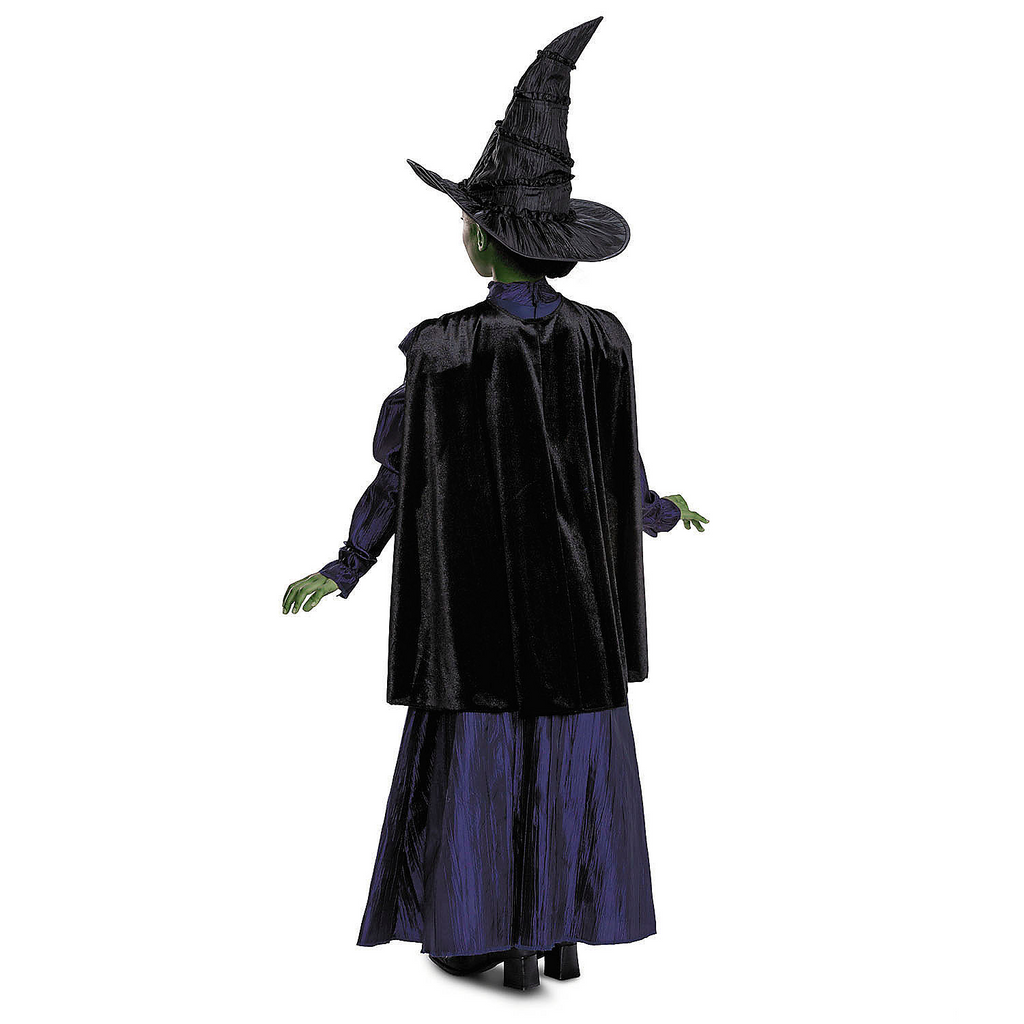 Toddler Deluxe Wicked Elphaba Purple Dress Costume