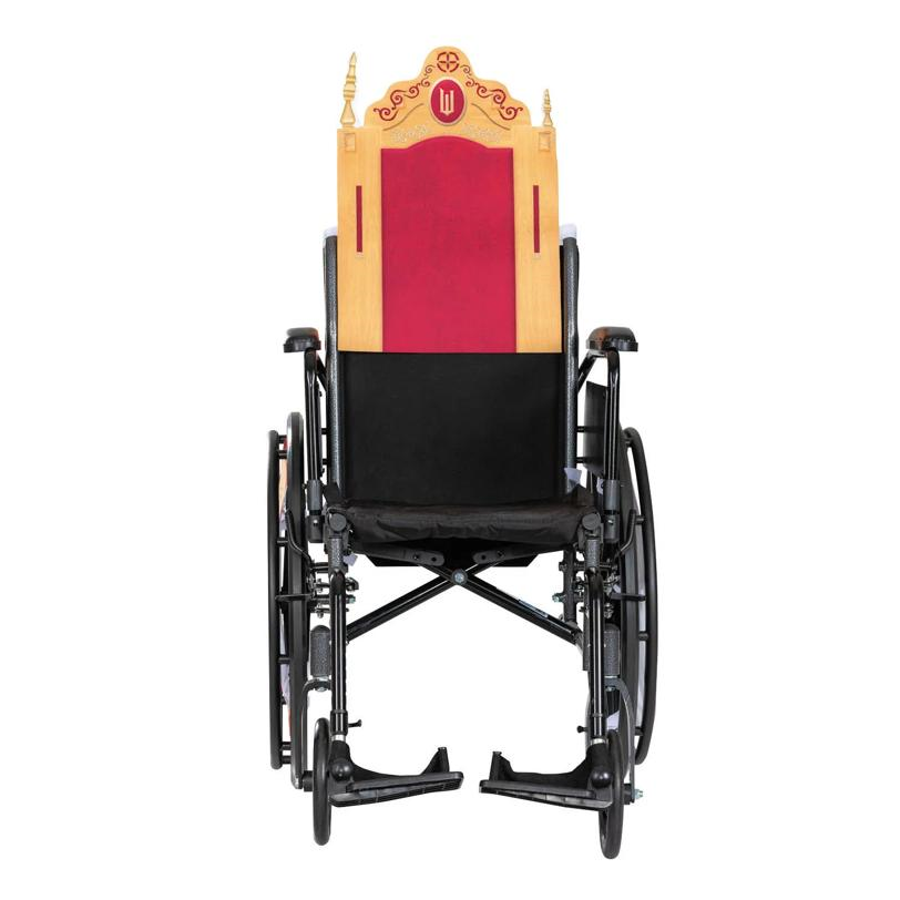 Kids Adaptive Wicked Nessa Rose Wheelchair Cover Costume Accessory